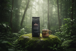 Pops Coffee Company Sumatra Mandheling bag on mossy stone in a lush Indonesian jungle rainforest with misty atmosphere